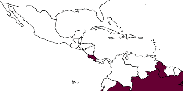 map of Argogorytes umbratilis     Bohart, 2000